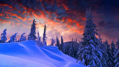 Обои лес, зима, forest, snow, winter, sunrise, clouds, 8k, Природа #17357 -  Страница 25