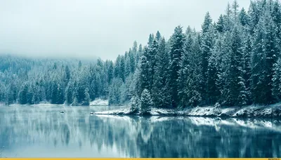 Обои гора, снег, зима, природа, дерево Full HD, HDTV, 1080p 16:9 бесплатно,  заставка 1920x1080 - скачать картинки и фото