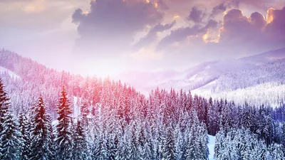 Скачать 1920x1080 зима, зимний пейзаж, деревья, снег, мороз, красиво обои,  картинки full hd, hdtv, fhd, 1080p