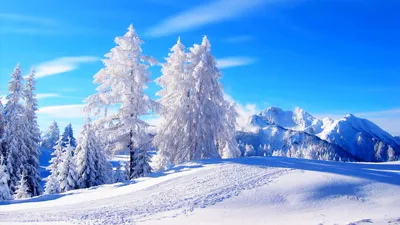 Снежинка Звезды Зима - Бесплатное фото на Pixabay - Pixabay