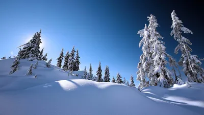Обои Зима, снег, река, дом, деревья 1920x1080 Full HD 2K Изображение