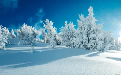 Какая погода будет этой зимой: прогноз погоды на декабрь, январь, февраль -  25 ноября 2023 - ngs22.ru