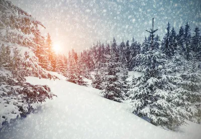 Новый температурный рекорд зимы побит в Энонтекиё -41,7 градусов | Yle  Novosti | Yle