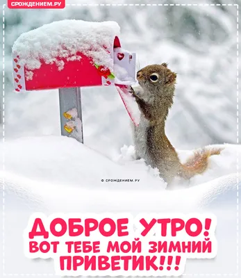 Открытки с добрым утром - скачайте на Davno.ru. Страница 6