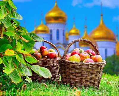 Яблочный Спас - традиции праздника, когда его отмечают, что можно  приготовить из яблок — Бобруйский новостной портал Bobrlife