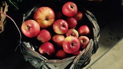 Праздник «Яблочный Спас в Красновидово» 2023