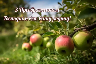 Яблочный Спас 2021: открытки, картинки и поздравления с яблочным Спасом |  ВЕСТИ