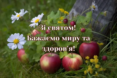 Яблочный Спас – один из самых любимых в народе и радостных праздников в  году - «ФАКТЫ»