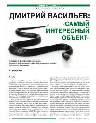 Ядовитые змеи России: топ 5 самых опасных, кого стоит остерегаться.  Спорт-Экспресс