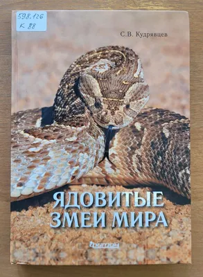 Как защититься от змей во время прогулки в лесу - Hi-News.ru
