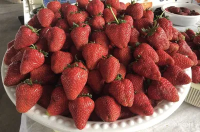 Клубника и земляника 🍓 Их отличия АгроВсесвіт