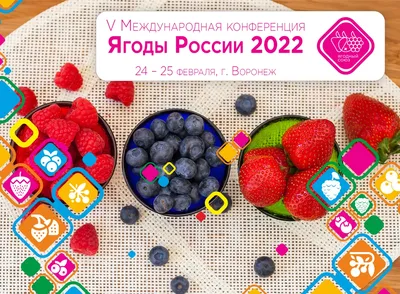 В России заканчивается сезон сбора дикорастущих ягод, грибов и орехов -  Российская газета