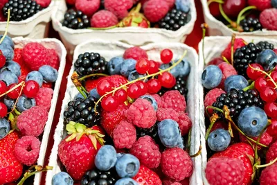 По итогам 2020 года урожай плодов и ягод в России вырос до 3,6 млн тонн •  EastFruit