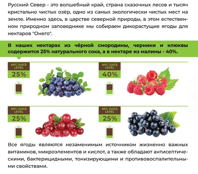 О ценной северной ягоде рассказал магаданский ученый-биолог Евгений  Тихменев | Магаданская Правда