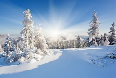 Красивый ландшафт зимы: Морозные деревья в январе, Австрия Открытка  Стоковое Изображение - изображение насчитывающей покрыто, красивейшее:  154620231