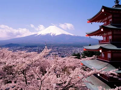 О стране Япония: география, культура, погода, валюта, время, кухня и  развлечения.