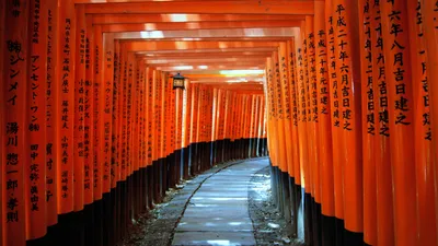 Япония | Туры в Японию Сакура | Цены 2024 года | Rossita Travel Полезная  информация о Японии от туроператора Россита
