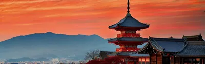 Япония с Востока на Запад (осень 2024) купить по низкой цене | Туроператор  Wasabi Tour