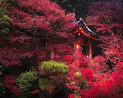 Природа Японии (58 фото) - 58 фото