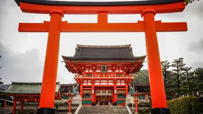 Япония смягчает правила въезда для привитых туристов - РИА Новости,  24.08.2022