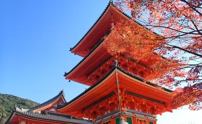 Япония откроется для индивидуальных туристов | Ассоциация Туроператоров