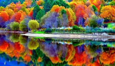 Осенняя яркая природа - 65 фото