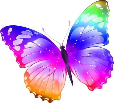 Яркие бабочки в цветной шаблону. Иллюстрация вектора - иллюстрации  насчитывающей монарх, макрос: 202277667
