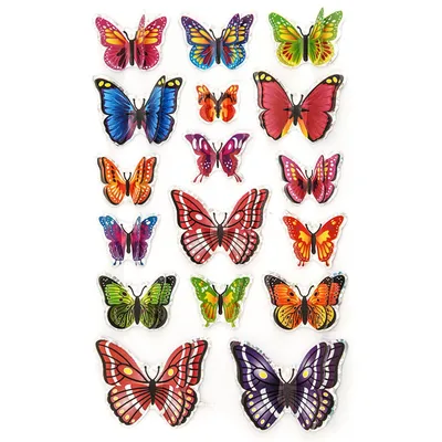 Самые красивые бабочки в мире - YouTube