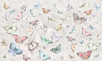 Красивые бабочки картинки для детей - 36 фото