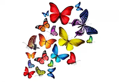 Картинки красивые бабочки нарисованные (51 фото)
