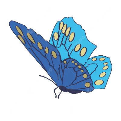 яркие бабочки иллюстрация вектора. иллюстрации насчитывающей летание -  57221244
