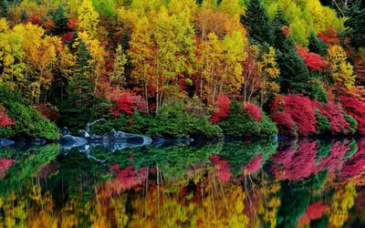 Яркие краски осени (55 фото) - 55 фото