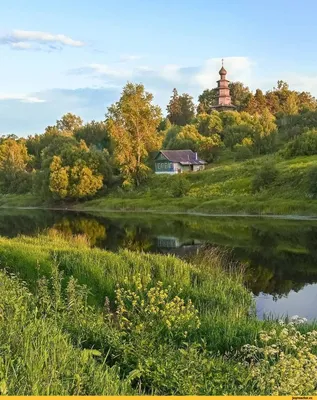 10 ярких обоев iPhone с природой. Лето в самом разгаре