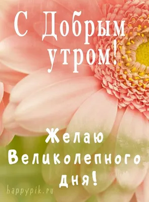 Интересные картинки с добрым утром. Яркие открытки! | Доброе утро,  Картинки, Открытки