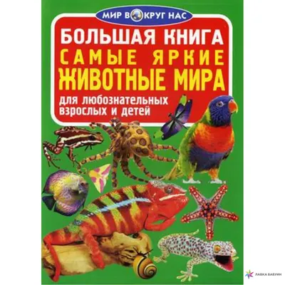 В Лабытнанги коммунальные объекты украсили яркими картинами с изображением  животных - KP.RU