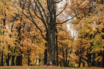 Жители Владимира делятся фотографиями самого красивого времени года