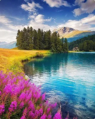 Фотообои Яркие цвета природы 58246 купить в Украине | Интернет-магазин  Walldeco.ua
