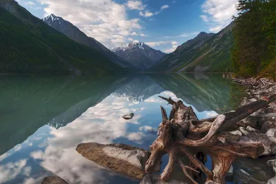 Картинки красивые 3d природа (68 фото) » Картинки и статусы про окружающий  мир вокруг
