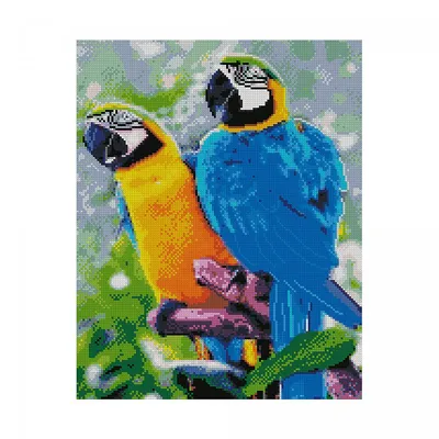Картина по номерам \"Яркие попугаи\" 30400 TK Group купить - отзывы, цена,  бонусы в магазине товаров для творчества и игрушек МаМаЗин
