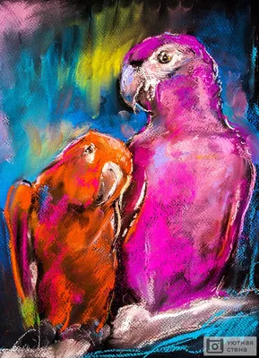 Самые красивые попугаи в мире ( + много ФОТО ) | Разноцветные животные,  Красивые птицы, Попугай