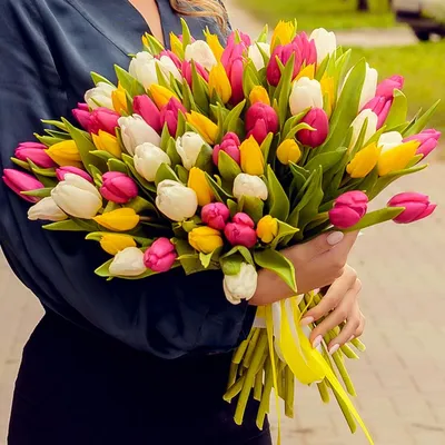 Яркие тюльпаны фото