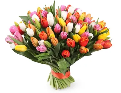 Купить «Тюльпаны ярко-розовые» с доставкой в Туле - «Марта»