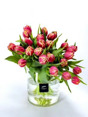 яркие тюльпаны в стеклянной вазе у окна, цветы в вазе картина, ваза, цветы  фон картинки и Фото для бесплатной загрузки