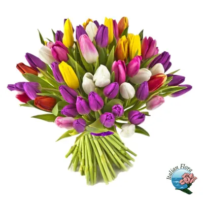 Очень красивые тюльпаны красивый вид» — создано в Шедевруме