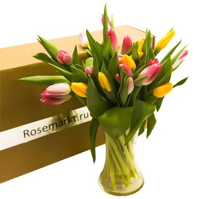 Бахромчатые тюльпаны: яркие сорта | GreenMarket