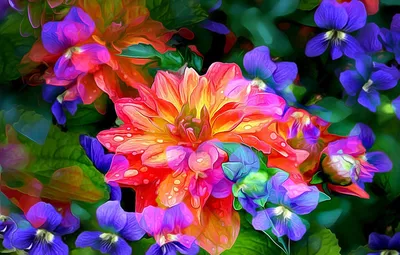 Самые красивые цветы в мире - Цветочка