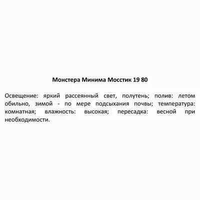 История возникновения выпускного альбома | Яркий кадр | Дзен