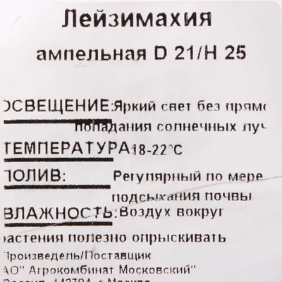 На что влияет модификатор стилей 4к, 32к в нейросети Шедеврум | Бирюзовый  Дракон (художник) 🐲 | Дзен