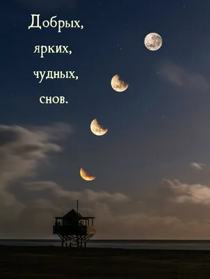 Спокойной ночи, желаю ярких и чудесных снов — Стихи, картинки и любовь