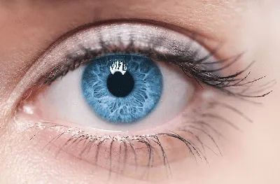 Голубой цвет глаз вопреки природе | Блог Colorlens24